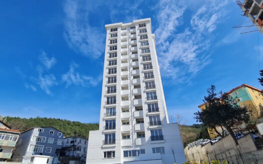Sea & Forest View Apartments for Sale in Kartal Istanbul | Ready Investment
