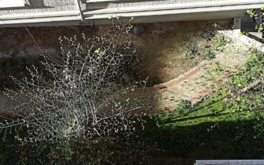 2+1 Apartment for Sale in Beylikduzu Istanbul | Gated Community & Safe Living