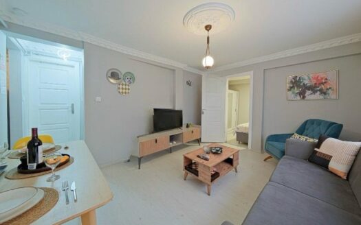 Airbnb Licensed 2+1 Apartment for Sale in Beyoglu Istanbul | High Income Investment