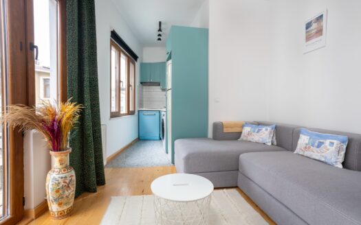 Fully Furnished Apartment for Sale in Beyoğlu Istanbul | Newly Renovated Investment Property with High Rental Income