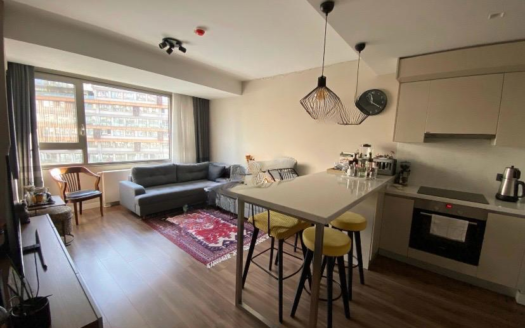 ZEYTINBURNU POOL VIEW 2+1 LUXURY APARTMENT
